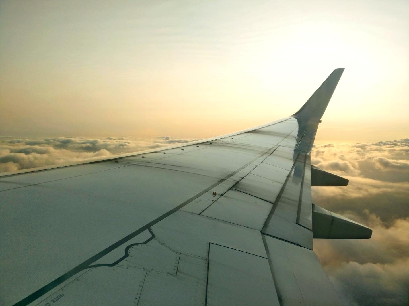 Проектирование премиального пляжного отдыха