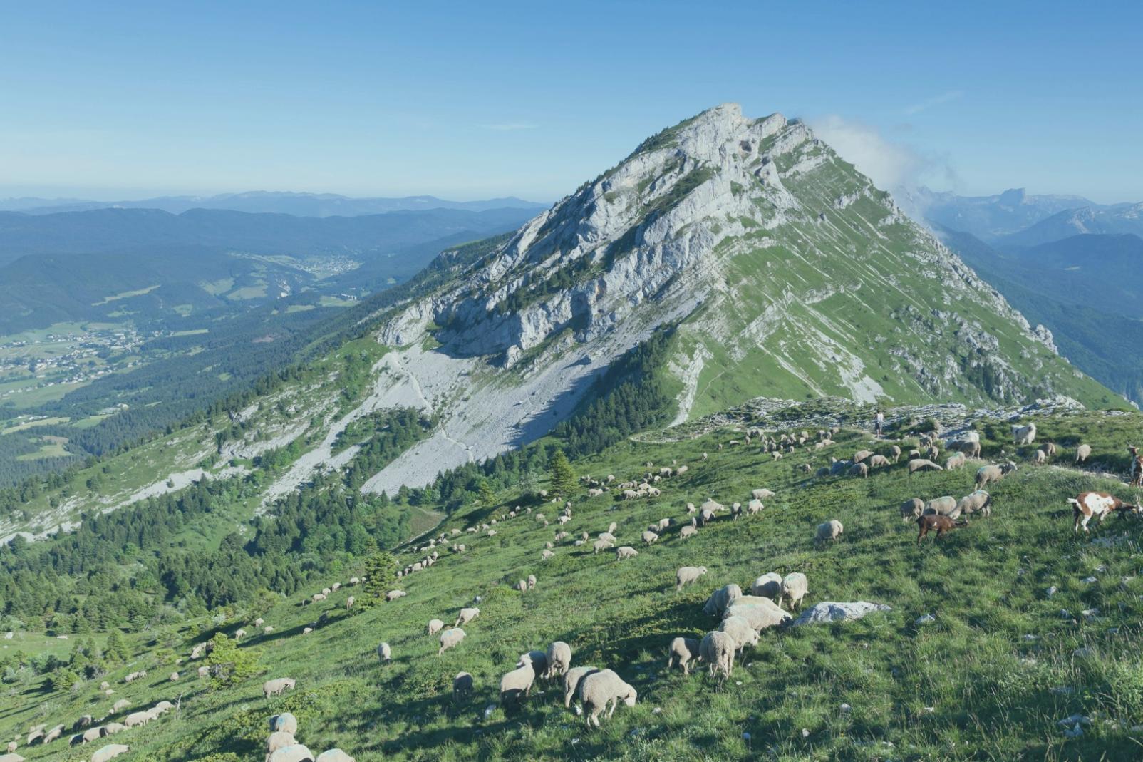 Методические материалы